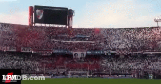 Soccer Stadium With LPM Banner GIF