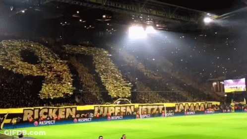 Soccer Stadium With Ricken Banner GIF