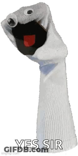 Sock Puppet With Googly Eyes Saying Yes Sir GIF