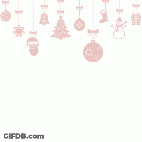 Socks With Expedi On Bottom GIF