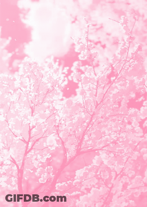 Soft Aesthetic Cartoon Cherry Tree GIF