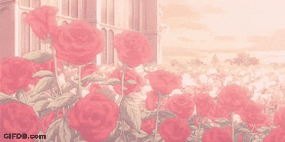Soft Aesthetic Color Red Flowers GIF