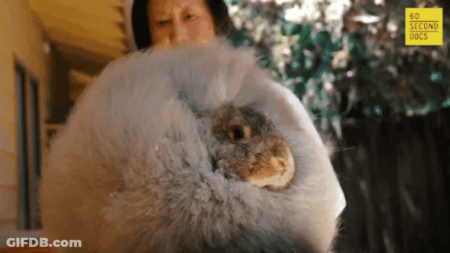 Soft GIF