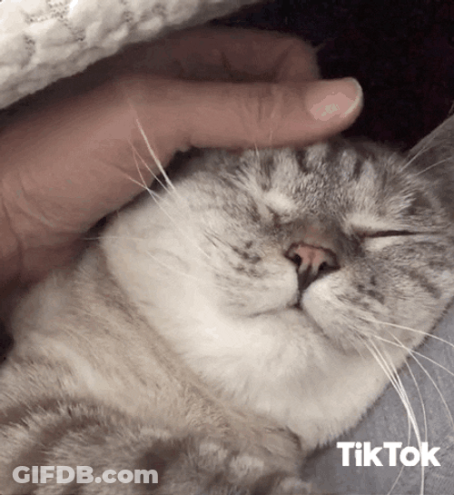 Soft GIF