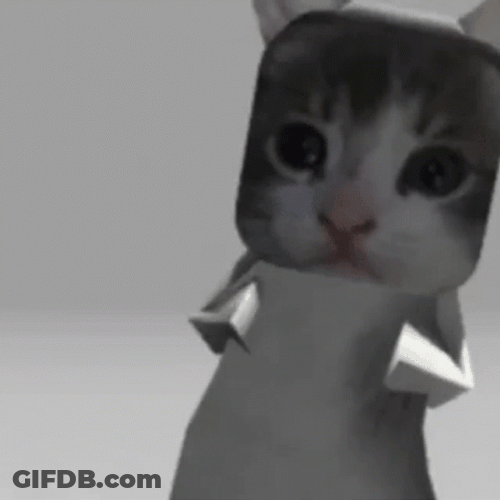 Soft Moving El Gato Meme GIF