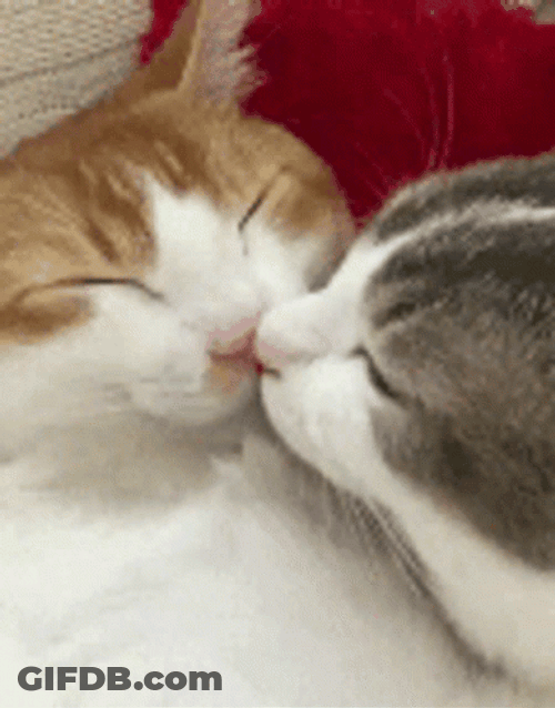 Soft GIF