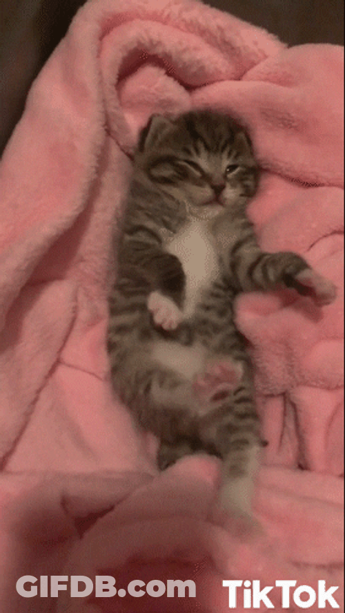 Soft GIF
