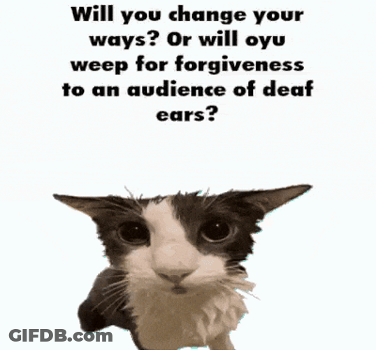 Soggy Cat Shark GIF