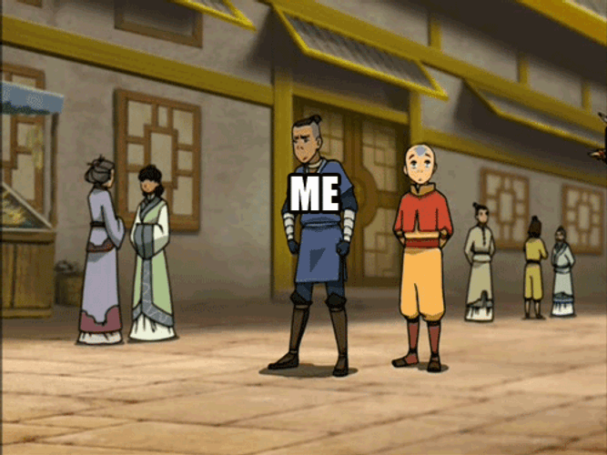 Sokka Attacked By Feels Bird GIF