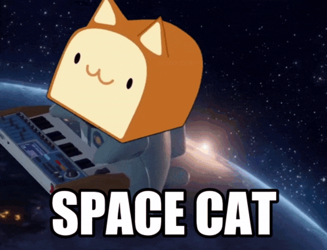 Solana Cat GIF