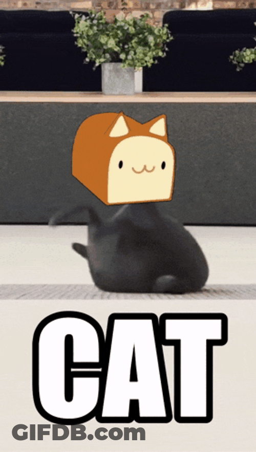 Solana Cat GIF