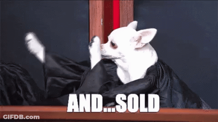 Sold Dancing Chihuahua GIF