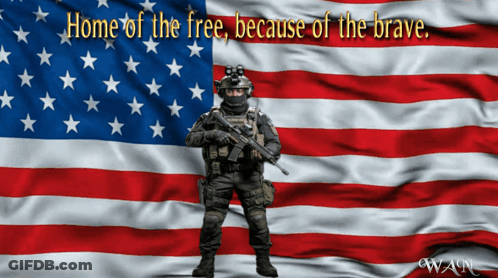 Soldier American Flag Home Of The Free Because Of The Brave GIF