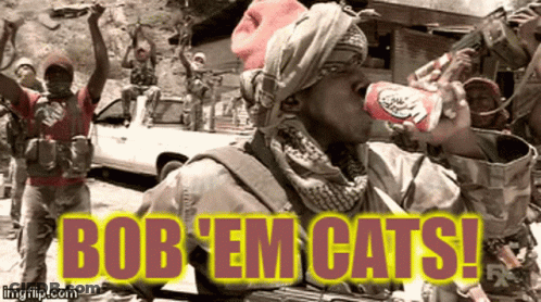 Soldier Drinking From Can Saying Bob Em Cats GIF