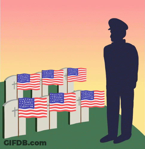 Soldier In Front Of Graves With American Flags GIF