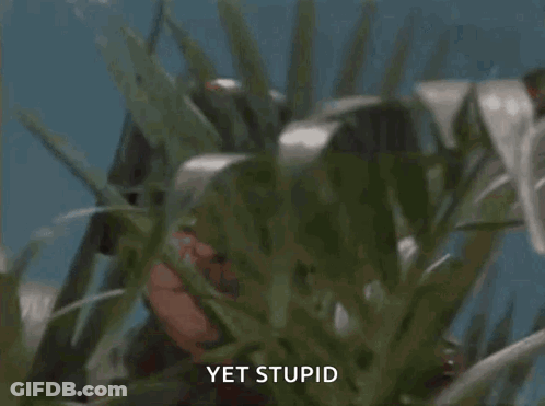 Soldier Meme GIF