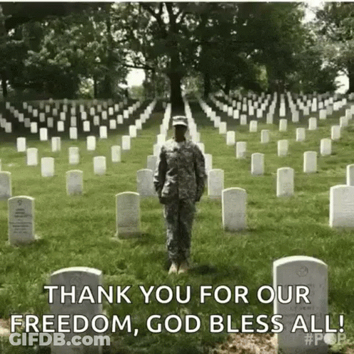 Soldier Standing In Cemetery Thank You For Our Freedom GIF