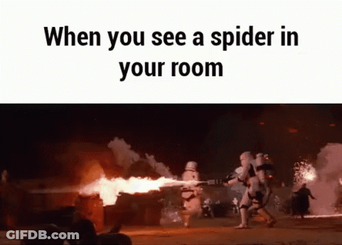 Soldiers Burning Scary Spider GIF
