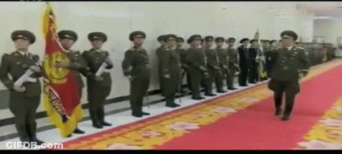 Soldiers In Line Holding Flags GIF