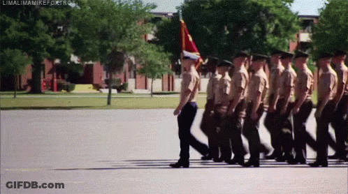 Soldiers Marching In Line With Flag GIF