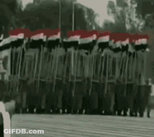 Soldiers Marching In Parade With Flags GIF