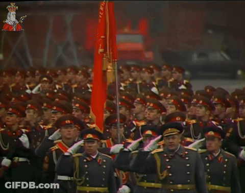 Soldiers Marching In Parade With King Picture GIF