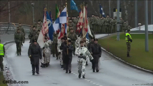 Soldiers Marching With Finland Flag GIF