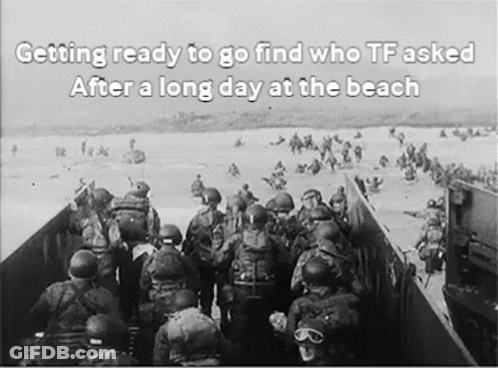 Soldiers Ready To Find Who TF Asked At Beach GIF