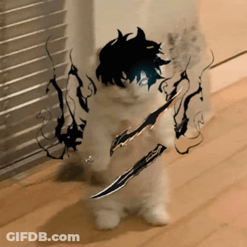 Solo Leveling Vanishing GIF