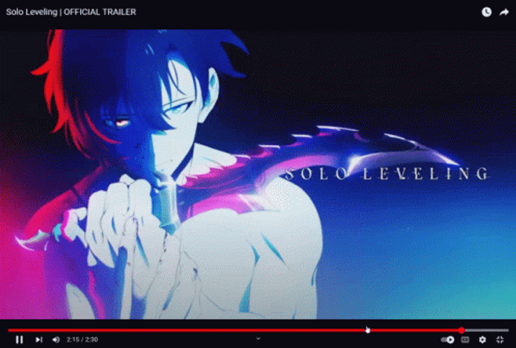 Solo Leveling With His Blade GIF
