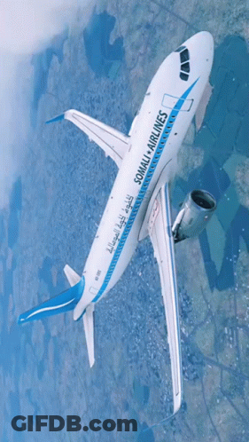 Somali Airlines Airplane Flying GIF