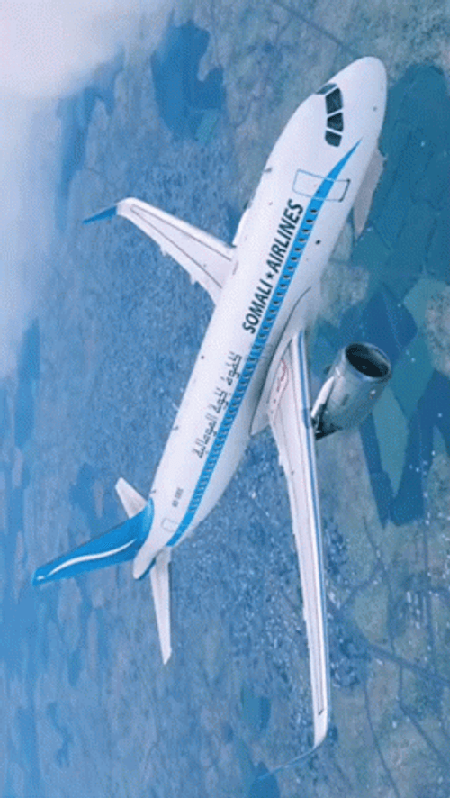 Somalia Airplane Flying GIF