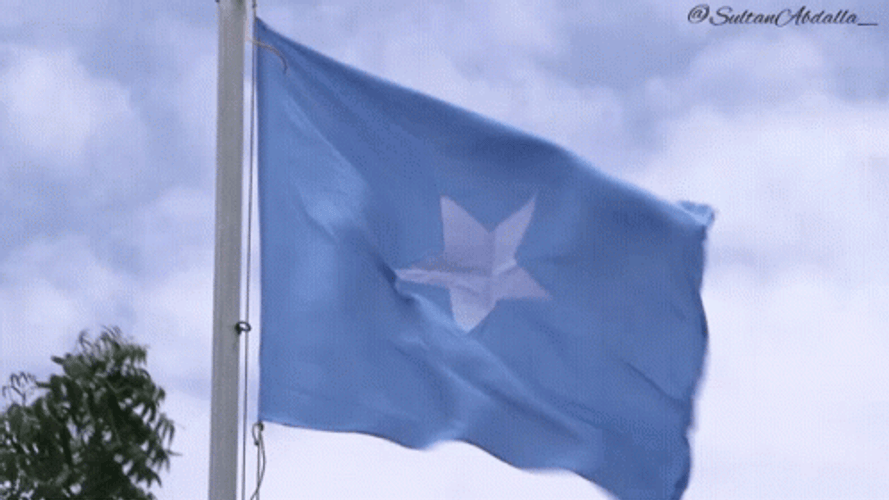 Somalia Flag Windy GIF