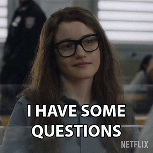 Some Questions Anna Delvey GIF