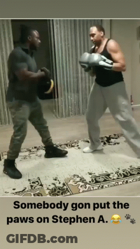 Somebody Gon Put The Paws On Stephen A. Two Men Boxing GIF