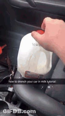 Someone Is Holding A Gallon Of Milk In A Car GIF