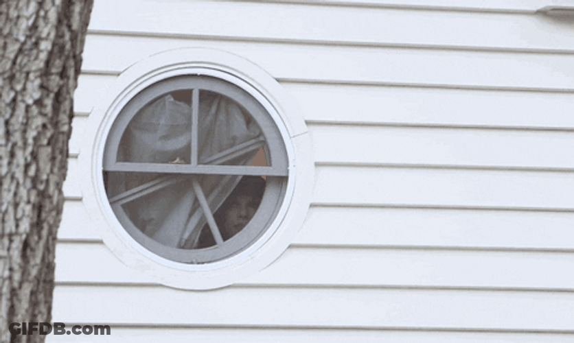 Someone Looking From The Window GIF