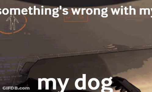 Something 'S Wrong With My Dog Is Written On A Computer Screen GIF