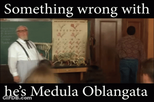 Something Wrong With Medulla Oblongata GIF