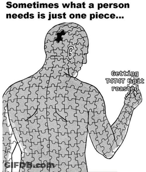 Sometimes Puzzle Illustration GIF
