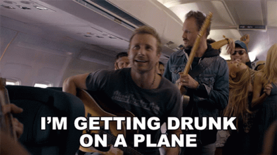 Song Drunk On Plane GIF