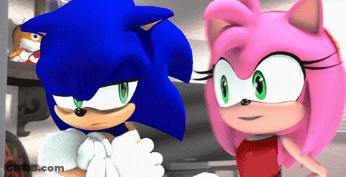 Sonic And Amy The Hedgehog GIF