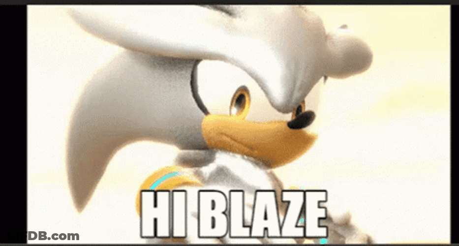 Sonic And Blaze The Cat GIF