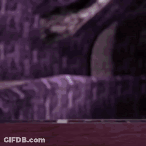 Sonic And Shadow From The Video Game Sonic The Hedgehog GIF
