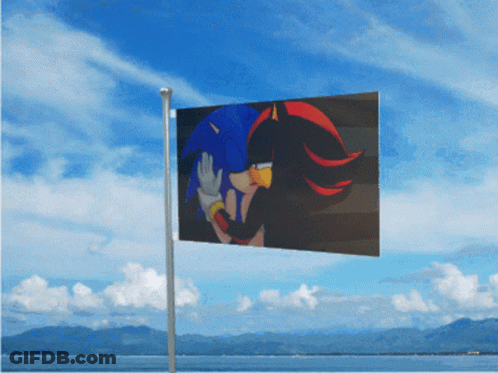 Sonic And Shadow Kissing Flag GIF