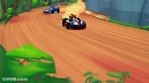 Sonic And Shadow Racing On Track GIF