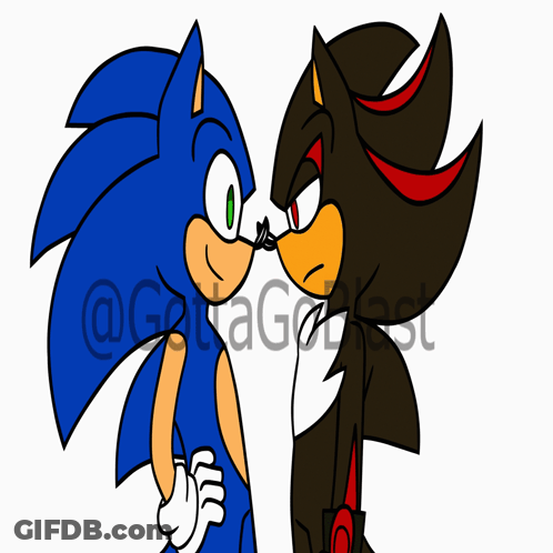 Sonic And Shadow Standing Next To Each Other GIF
