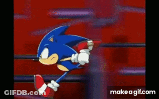 Sonic And Shadow The Hedgehog Fighting GIF