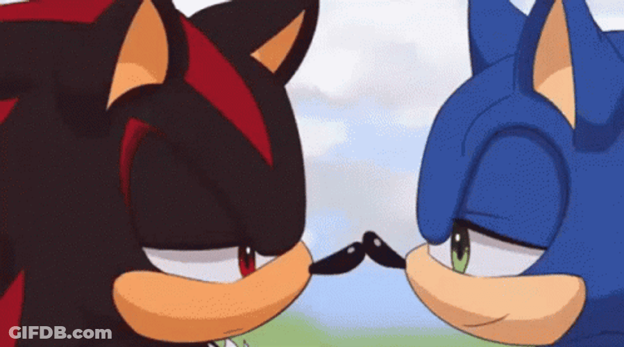 Sonic Ans Shadow Kissing GIF