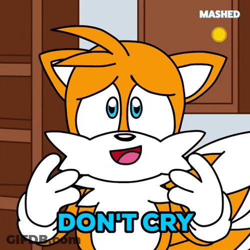 Sonic Dont Cry Tails GIF